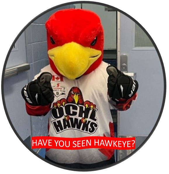 Have You Seen Hawkeye?