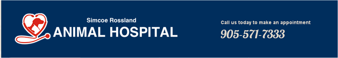 SIMCOE ROSSLAND ANIMAL HOSPITAL